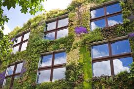 architecture écologique