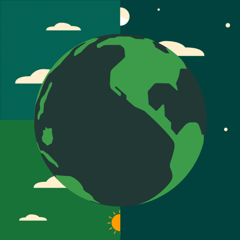 amazon développement durable