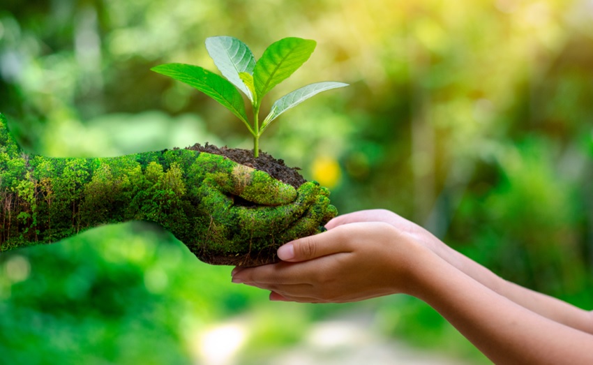 de développement durable