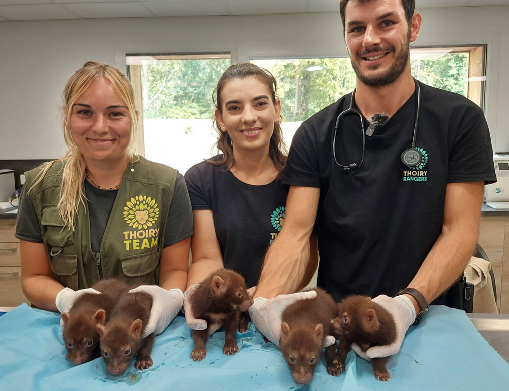 formation soigneur animalier