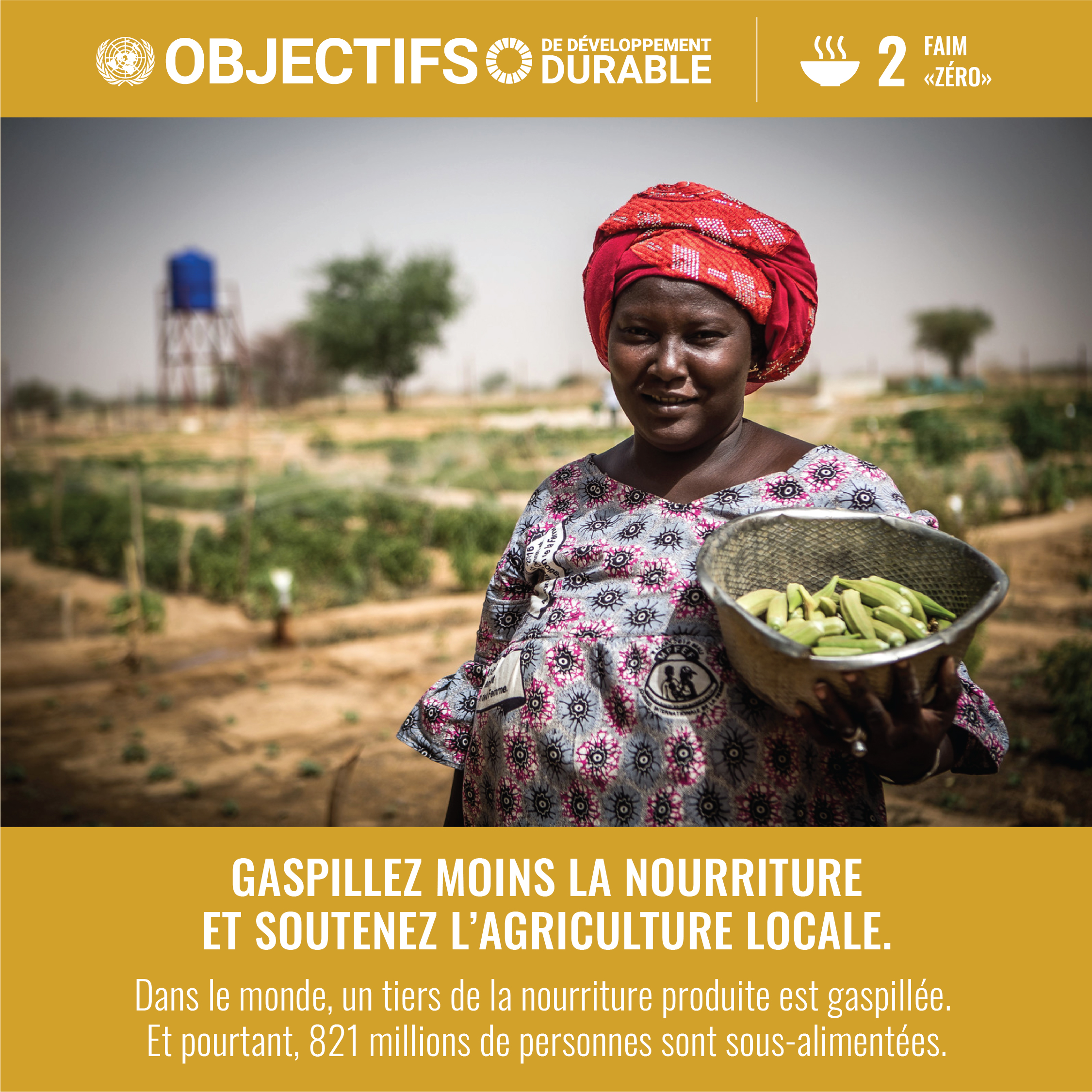 nations unies développement durable