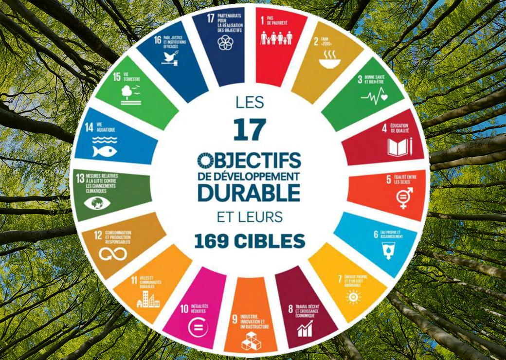 projet développement durable