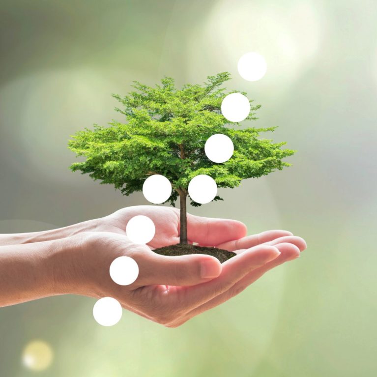 durabilité écologique