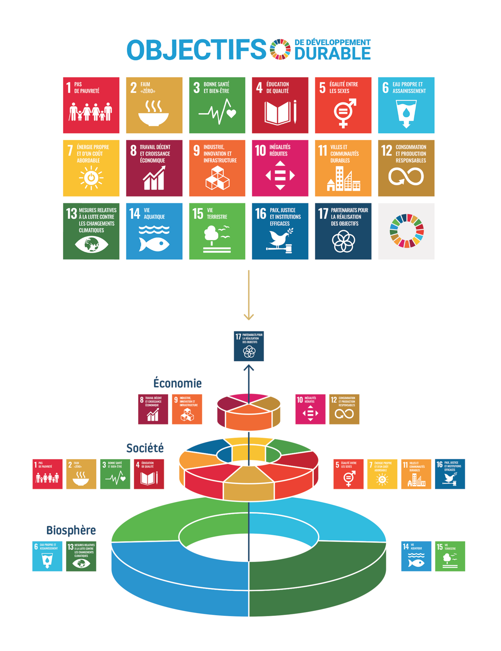 durabilité et développement durable
