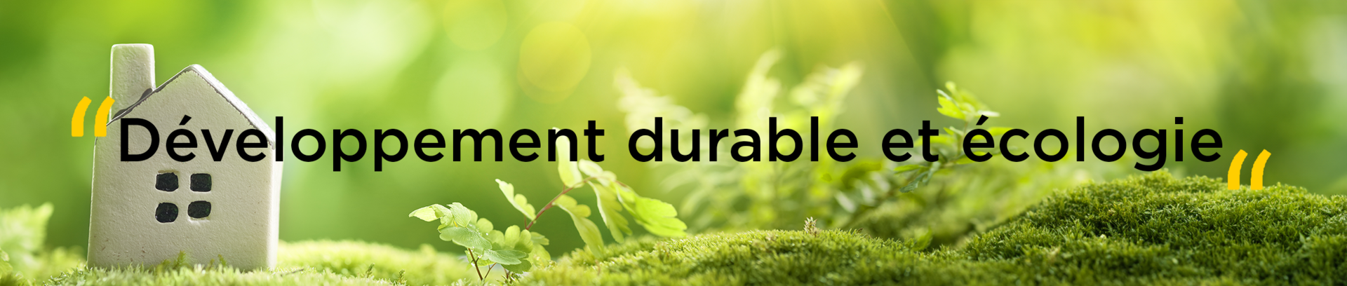 iso développement durable