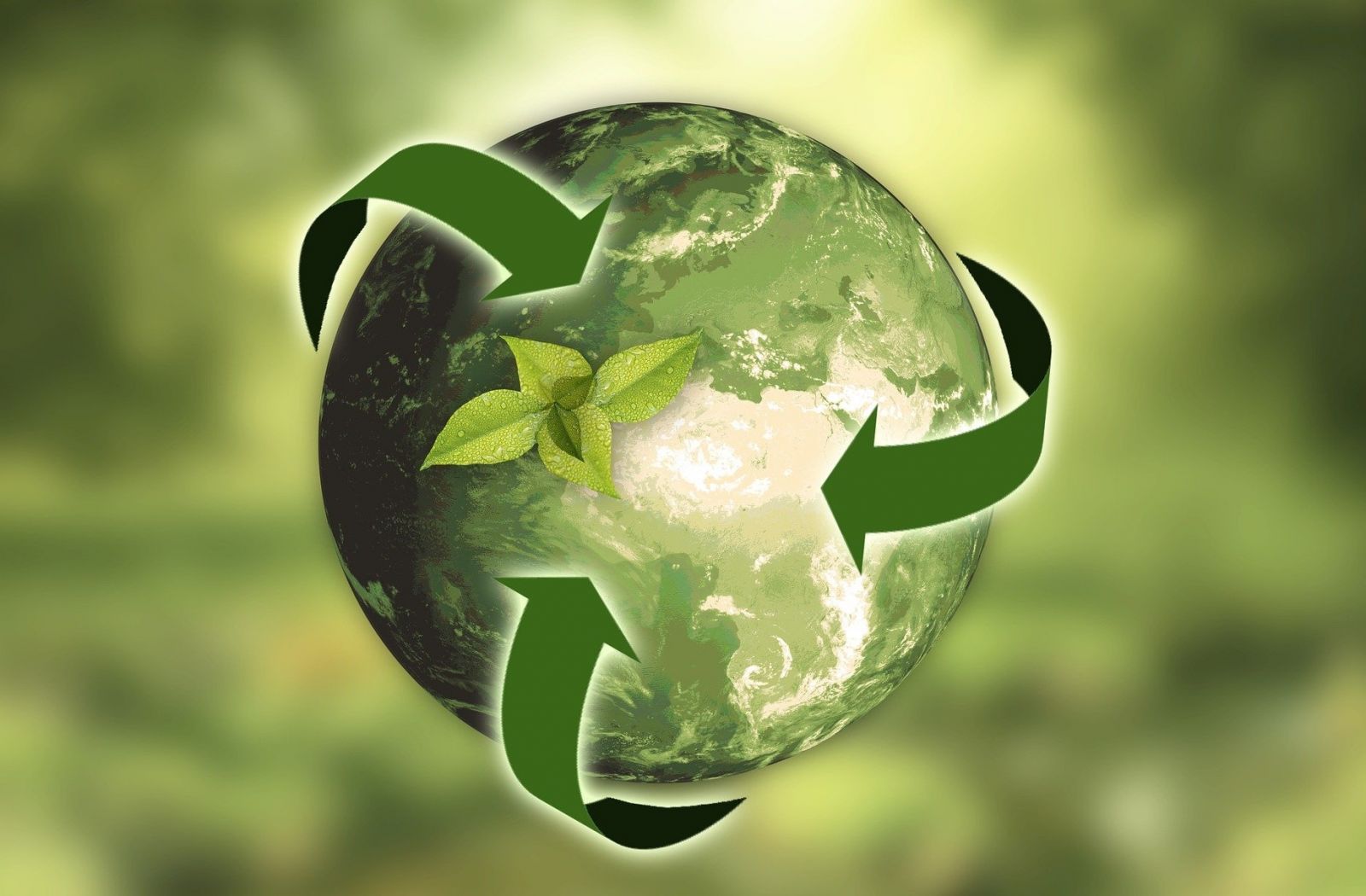 le développement durable est