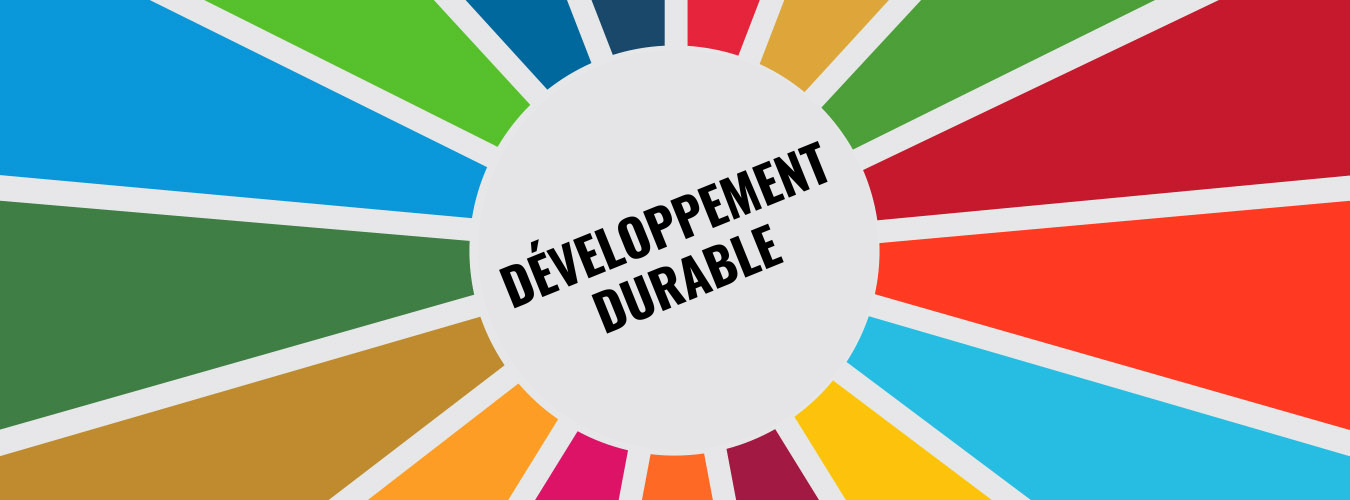développement et développement durable