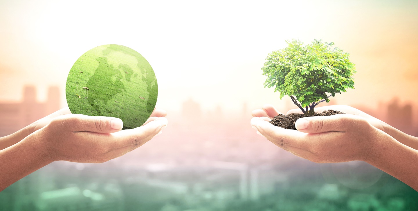 développement local durable