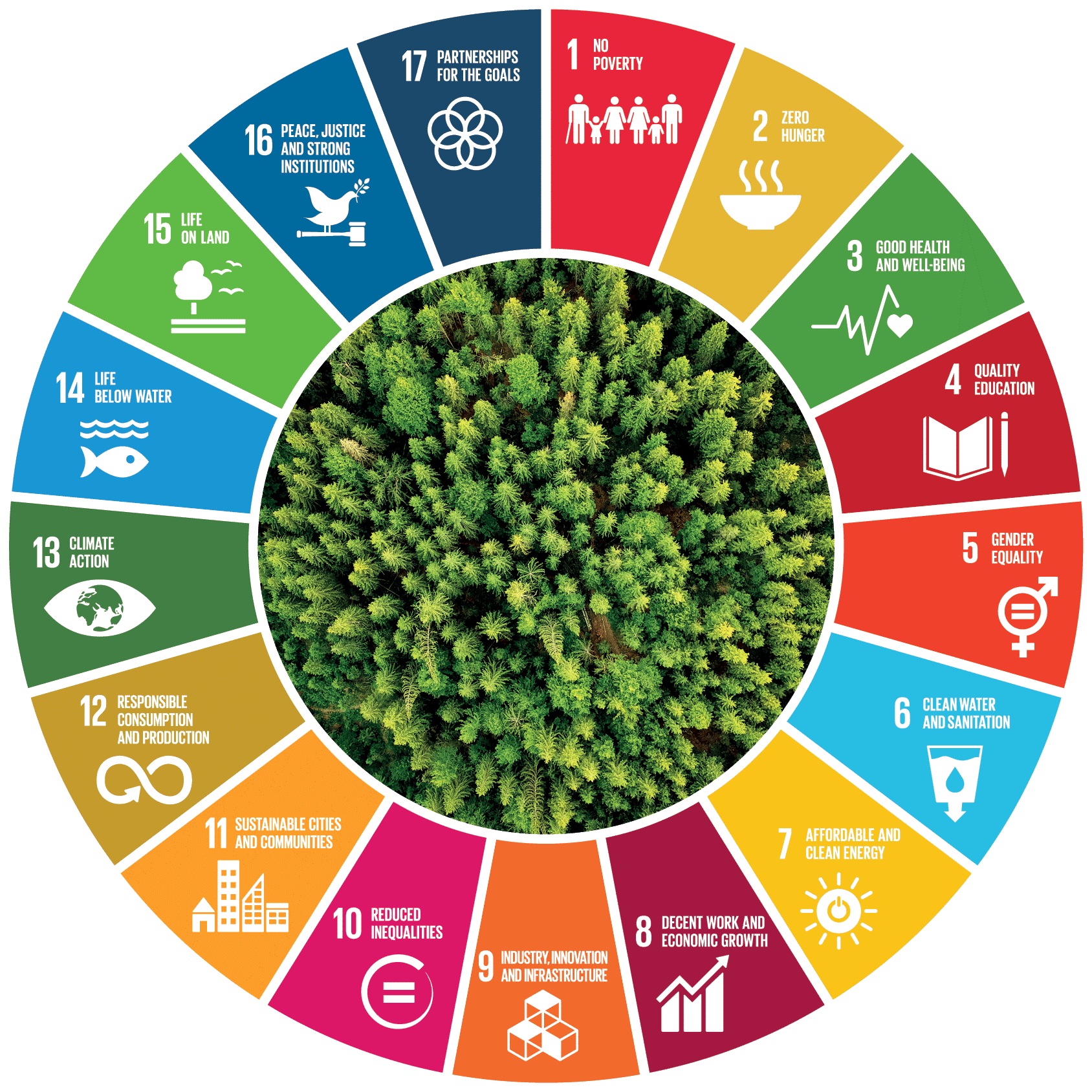 développement durable des nations unies