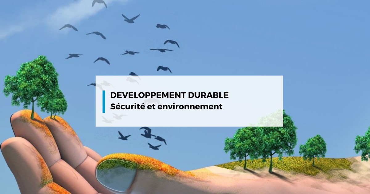 développement durable ppt