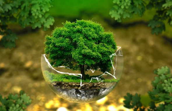 développement durable projet