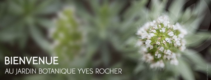 yves rocher développement durable