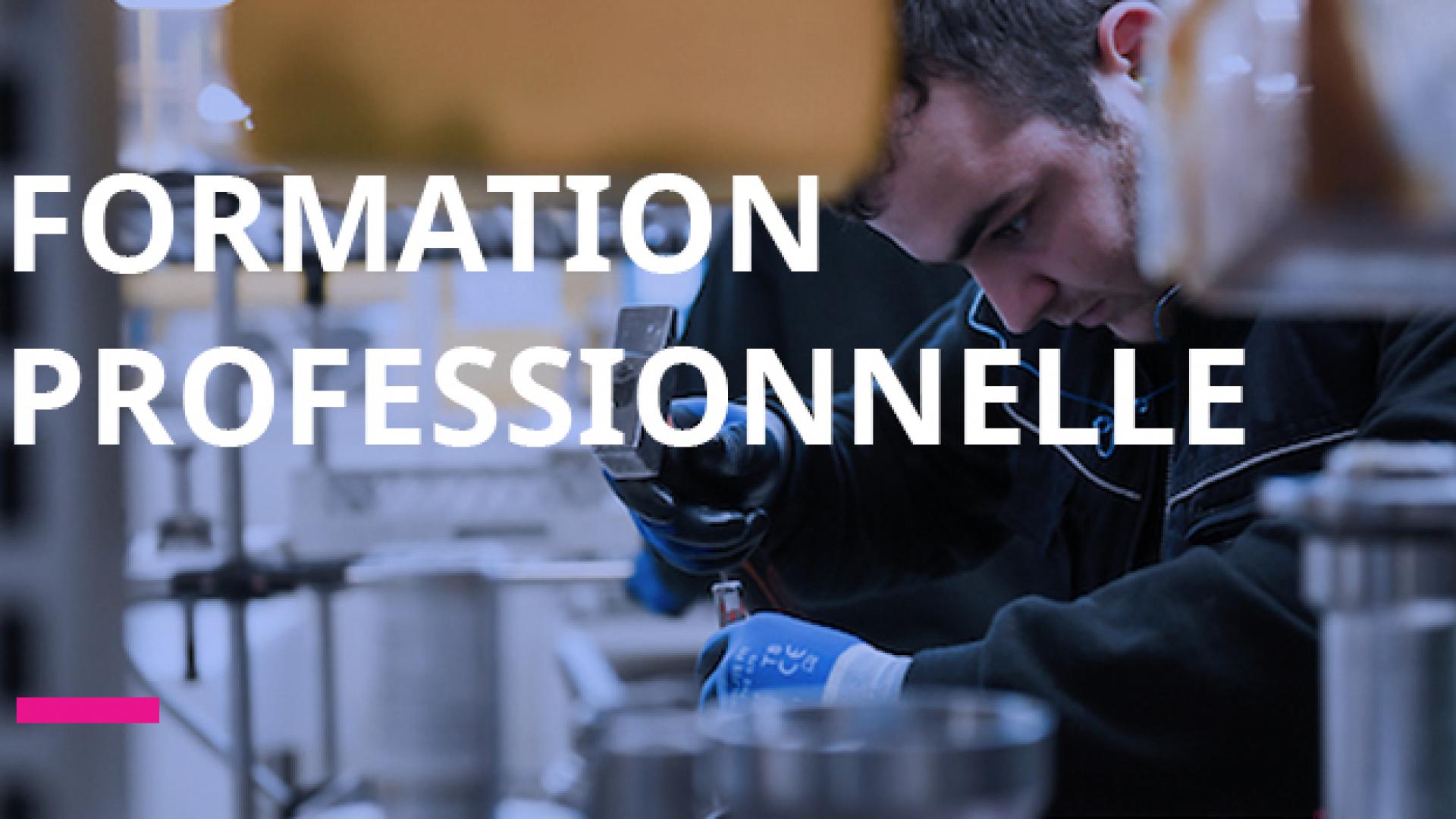 formation professionnelle
